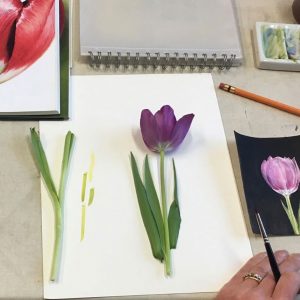 Botanical Painting with Mariella Baldwin – Per Session