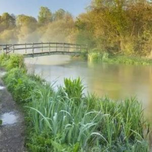 Landscape Workshop on the Itchen River with Puff Morgan-Giles