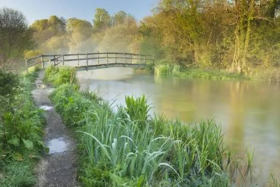 Landscape Workshop on the Itchen River with Puff Morgan-Giles