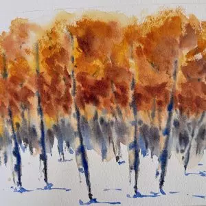 Autumn in Watercolour with Julia Cassels​