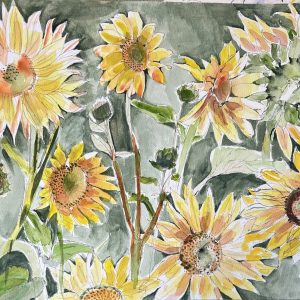 Watercolour for Absolute Beginners with Christian de Ferranti