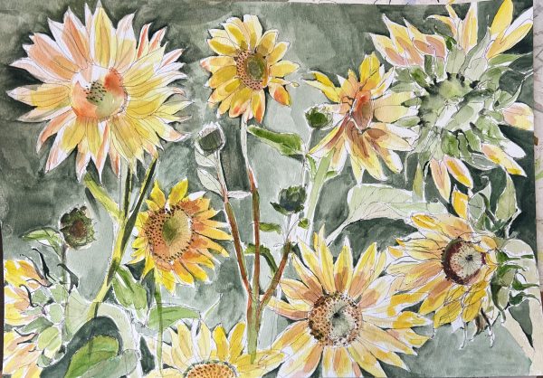 Watercolour for Absolute Beginners with Christian de Ferranti